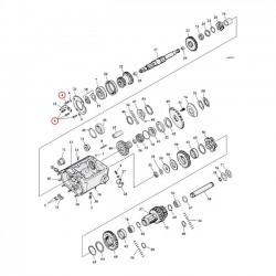 mcs screw