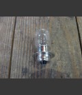 Highway Hawk custom headlampbulbs