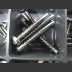 Oem torkx 1/4-20 x 2 1/2"