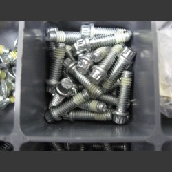 Oem Tappetblockscrew 12 point 