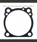 CYL. BASE GASKET. PAPER. FR/RR