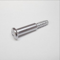 TAILLIGHT LENS SCREWS