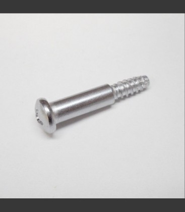 TAILLIGHT LENS SCREWS