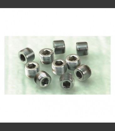 Pipe plug 3/8 NPT chrome