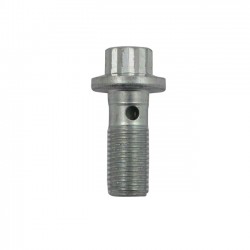 Banjo bolt 3/8 12-point zinc