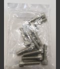 ALLEN BOLT 1/4-20 X 1 INCH ZINC OEM