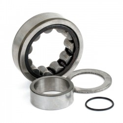 BEARING ASSY, CAM. REAR. OUTER