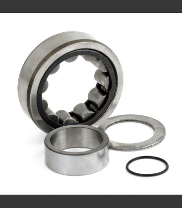 BEARING ASSY, CAM. REAR. OUTER