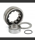 BEARING ASSY, CAM. REAR. OUTER