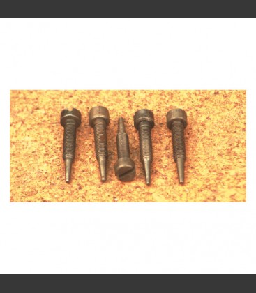 CHAIN OILER ADJ. SCREW (SLOTTED)