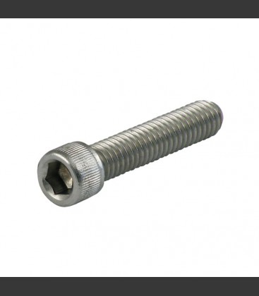 1/4-20 X 1 INCH ALLEN BOLT STAINLESS