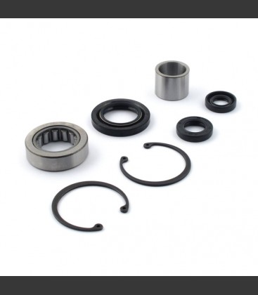 ALL BALLS, INNER PRIMARY BEARING & SEAL KIT