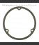 GASKET, DERBY COVER