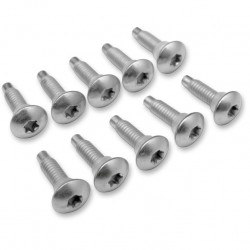 SCREW SET FOR EFI MAINTANENCE 8-32 X .590