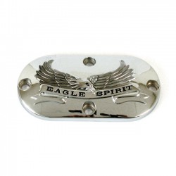 mcs inspection cover eagle