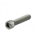 Inbusbout 1/4-20 x 2 1/4 rvs