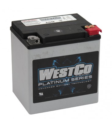 AGM BATTERY. 97-22 flt/Touring