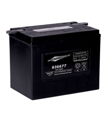 Battery AGM 65-84 fl, 67-78 xl