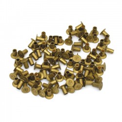 Clutch rivets brass long