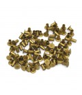 Clutch rivets brass long