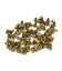 Clutch rivets brass long