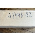 Rear fork swingarm beltdrive