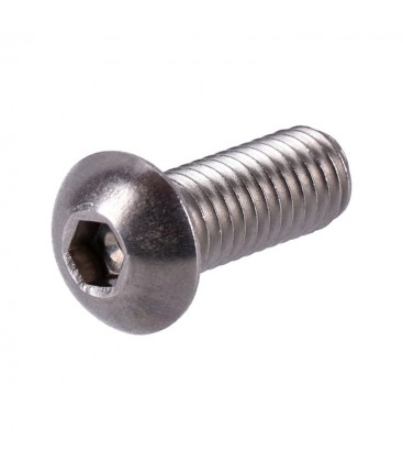 Buttonhead 1/4-20 * 1" ss