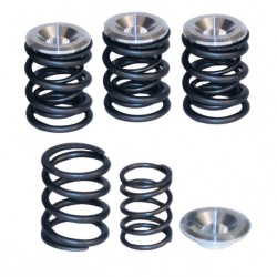 Valvespring kit std to .550 lift