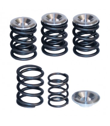 Valve spring kit to .550 lift