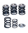 Valve spring kit to .550 lift