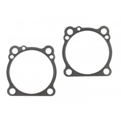 Cyl. base gasket sls .020 rcm