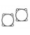 Cyl. base gasket sls .020 rcm 84-99 bt